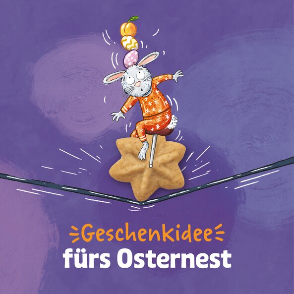 Text „Geschenkidee fürs Osternest“ und Illustration mit Hase auf Keks in Blütenform