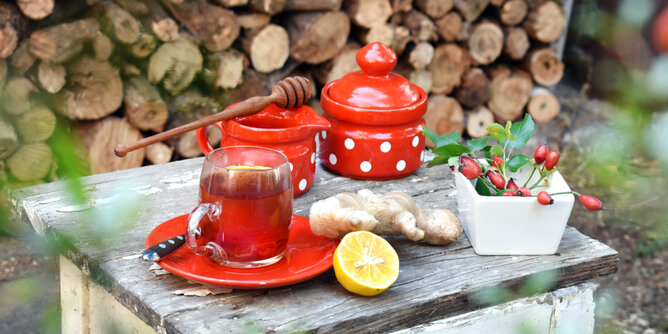 Teegenuss Natur | © SONNENTOR Auf dem Foto sieht man auf einem Holztisch in der Natur eine Tasse Tee und Teekannen. Daneben sieht man auch Hagebutten, Ingwer und Zitrone. | © SONNENTOR